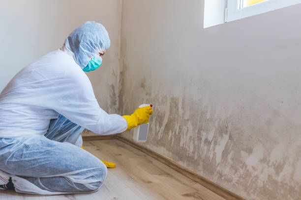 Bathroom Mold Removal assessment in Eatontown bathroom