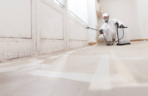 Black mold remediation team in Eatontown